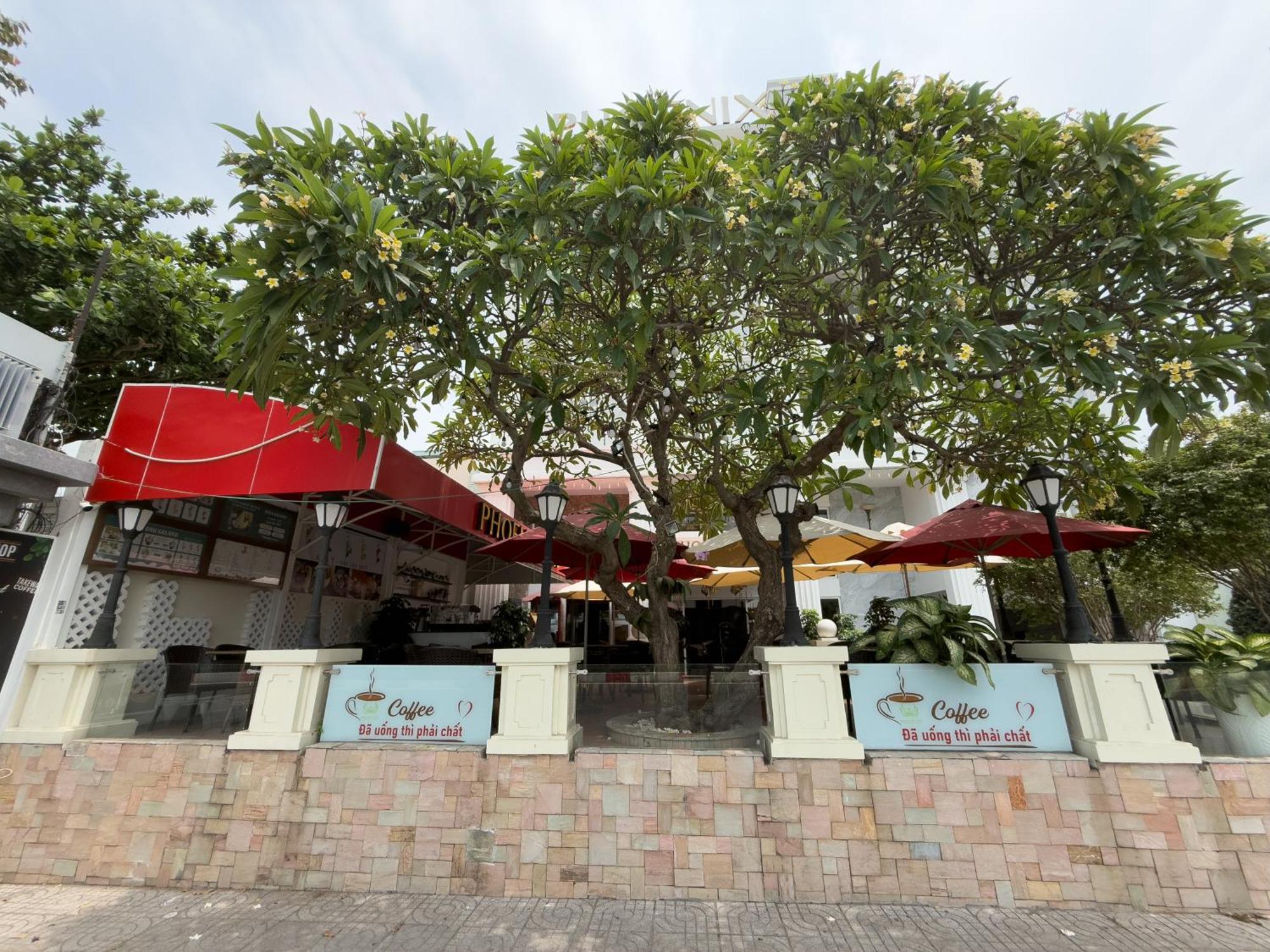 Phoenix Hotel Vung Tau Exterior foto